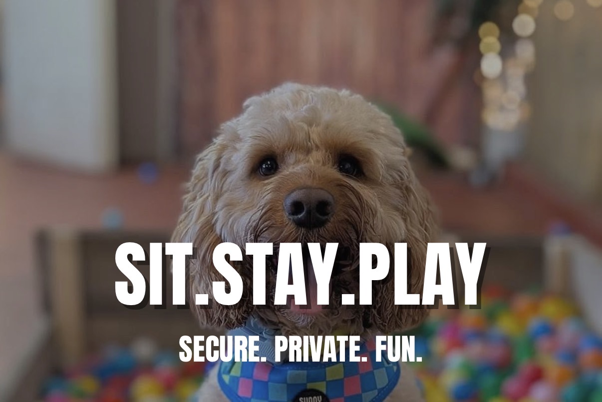 Sit.Stay.Play